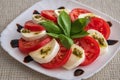 Plate of healthy classic delicious caprese salad with tomatoes and mozzarella cheese with fresh basil leaves on light linen