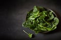 Plate of healthy fresh baby spinach leaves Royalty Free Stock Photo