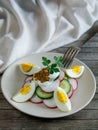 Plate with healthy spring vegetarian salad with radish, cucumber, egg and parsley with sour cream. and mustard, top view Royalty Free Stock Photo