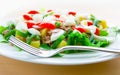 A plate of healthy tuna salad nicoise Royalty Free Stock Photo