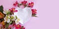 Plate heart, flower spring freshness beautiful decoration a colored background