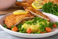 Schnitzel Meal with vegetables and potatoes Royalty Free Stock Photo