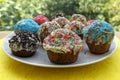 Plate of multi colored homemade cupcakes Royalty Free Stock Photo