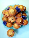 Sweet cupcakes with flowers of meadow cornflowers