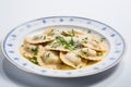 Plate with homemade ravioli with parmesan cheese and sauce