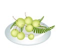 A Plate of Indian Gooseberry on White Background