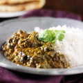 Plate of indian saag paneer