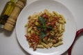 Plate of itlalian tomato penne