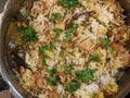 A plate of Jackfruit  Biryani Royalty Free Stock Photo