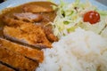 A Plate of Japanese Katsudon with Salad