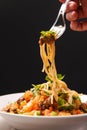 Plate with a lagman fork with pasta, meat, sauce and herbs on a dark , Caucasian Asian cuisine Royalty Free Stock Photo