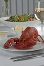 Plate with a lobster meal