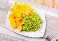Plate of mexican chips with guacamole and glass beer closeup Royalty Free Stock Photo