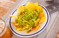 Plate of mexican chips with guacamole and glass beer closeup Royalty Free Stock Photo