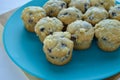 Plate of mini blueberry muffins.