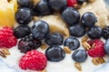 Plate of mixed fruits with yogurt