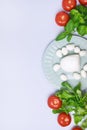 Plate with Mozarella Cheese Small Tomatoes Green Basil and Arugula on Blue Background Background with Ingredients for Caprese Royalty Free Stock Photo