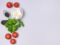 Plate with Mozarella Cheese Small Tomatoes Green Basil and Arugula on Blue Background Background with Ingredients for Caprese Royalty Free Stock Photo