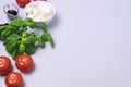 Plate with Mozarella Cheese Small Tomatoes Green Basil and Arugula on Blue Background Background with Ingredients for Caprese Royalty Free Stock Photo