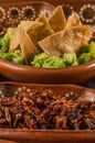 Plate with multiple edible insects, traditional Mexican food