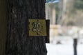 Plate number 20 is attached to a tree
