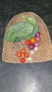 Plate with organic and local vegetables freshly picked from the garden served by women`s hands. Composition with broccolis, Royalty Free Stock Photo