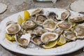 Plate of oysters