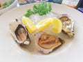 A plate of oysters in threes with lemon Royalty Free Stock Photo