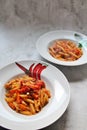 Plate with penne pasta with tomato sauce and chopped carrots, Italian dish with tomato sauce, hot pasta seasoned with sauce Royalty Free Stock Photo