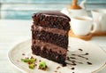 Plate with piece of delicious chocolate cake on light table Royalty Free Stock Photo