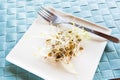 Plate Piled With Lentil Sprouts