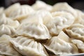 Traditional polish Pierogi dumplings