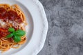 Plate with a portion of delicious italian spaghetti with sauce bolognese with fresh basil leaves and grated parmesan cheese on the Royalty Free Stock Photo