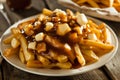 plate of poutine, a Canadian snack with french fries, cheese curds, and gravy, in the style of indulgent, cheesy, gooey