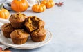 Homemade Pumpkin Pecan Muffins for Fall Royalty Free Stock Photo