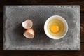 Plate with raw broken egg, shell on concrete slab