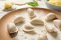 Plate with raw dumplings on table, closeup. Home Royalty Free Stock Photo
