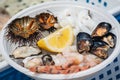 Plate of raw fresh sea fruit or food, ready to eat with sea urchins, prawns, shrimps, oysters, black mussels, cuttlefish and lemon