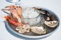 Plate of raw fresh sea fruits or food, ready to eat