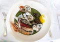 A plate of raw seafood king prawns, scampi, oysters, scallops, mussels, squid Royalty Free Stock Photo