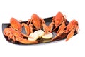Plate of red boiled lobsters Royalty Free Stock Photo