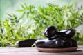 Plate with ripe eggplants on table Royalty Free Stock Photo