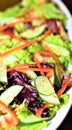 A plate of salad made of fresh leafy greens