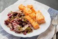 plate with salmon and red radicchio garnish Royalty Free Stock Photo