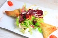 Plate of samoussa and lettuce salad Royalty Free Stock Photo