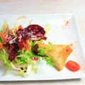 Plate of samoussa and lettuce salad Royalty Free Stock Photo