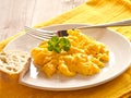 Scrambled eggs Royalty Free Stock Photo