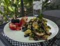 Scrambled eggs with vegetables and fruit Royalty Free Stock Photo