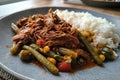 Plate of shredded beef with rice and vegetable Royalty Free Stock Photo
