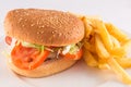 Plate with a simple burger with tomato, lettuce and potatoes